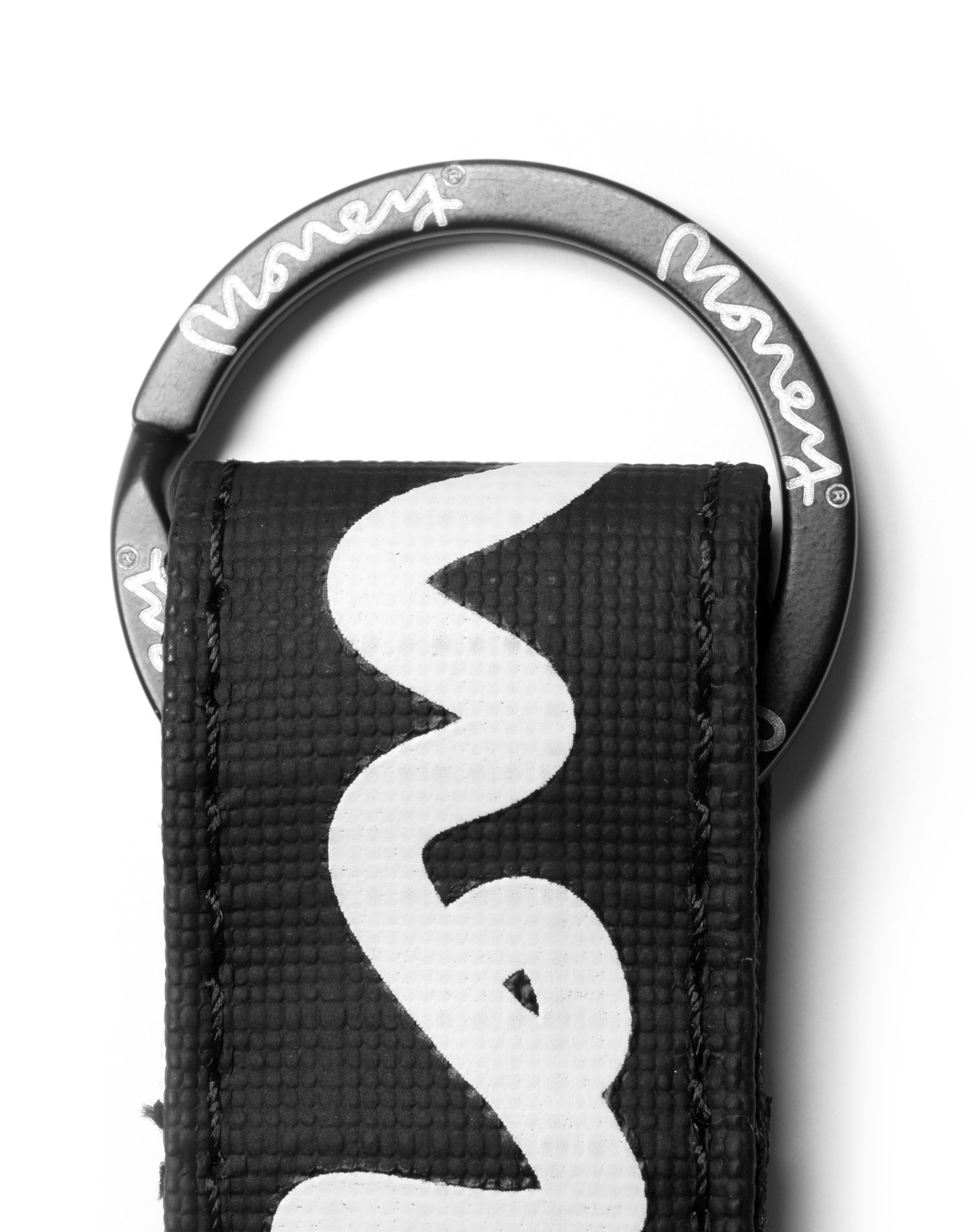 Money Cargo Strap