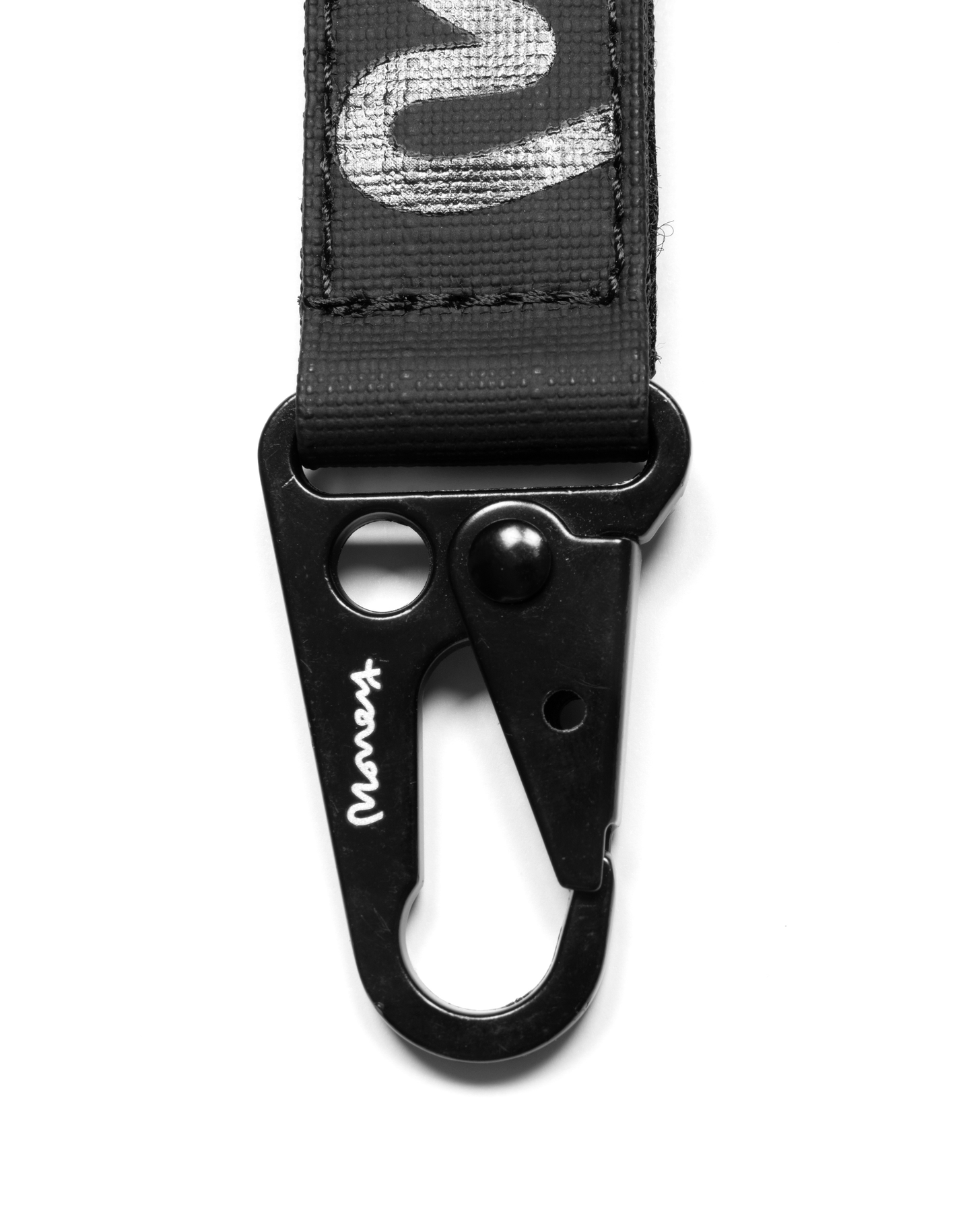 Money Cargo Strap