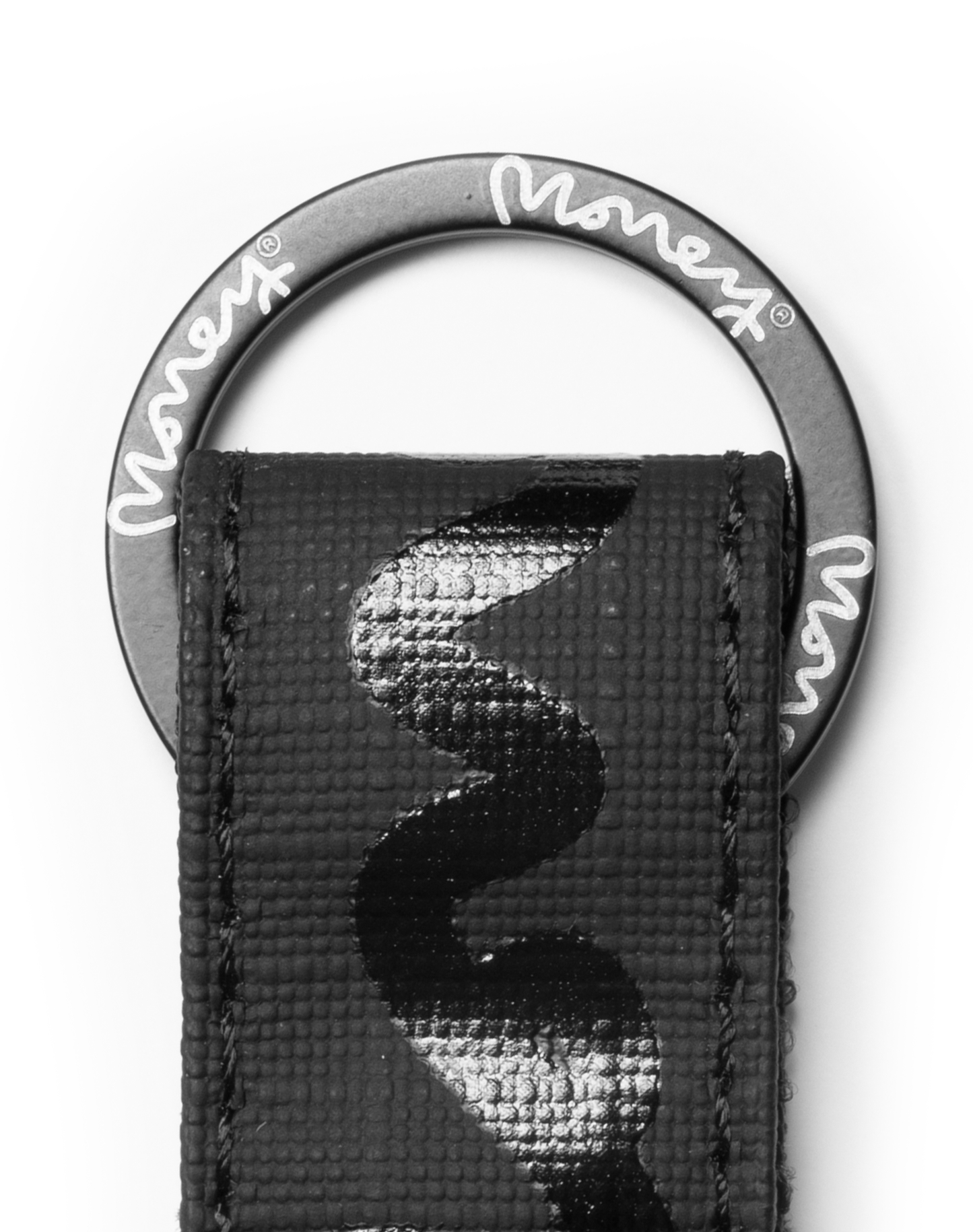 Money Cargo Strap